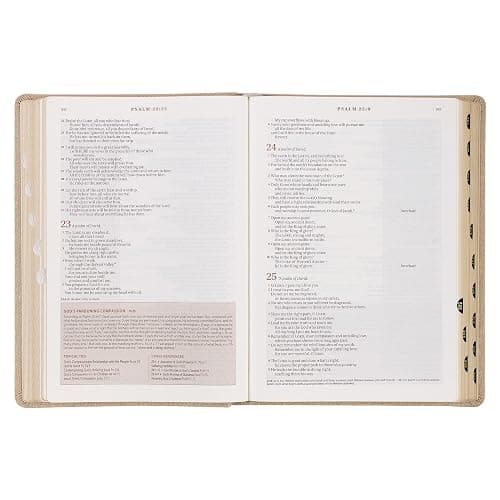 The Spiritual Growth Bible, Study Bible, NLT - New Living Translation Holy Bible, Faux Leather, Pearlescent Taupe (NLT Spiritual Growth Editions) thumbnail 12