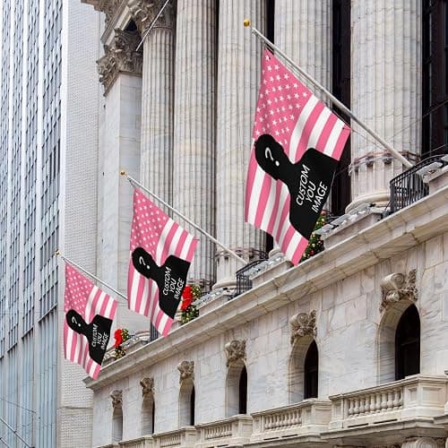 JJWWAMAP Custom Pink American Flag 2x3 3x5 4x6 5x8FT. Custom Design Your Photo Text. Personalized Flag Banner Tapestry For Indoor Outdoor Bedroom Decorating Gifts thumbnail 2