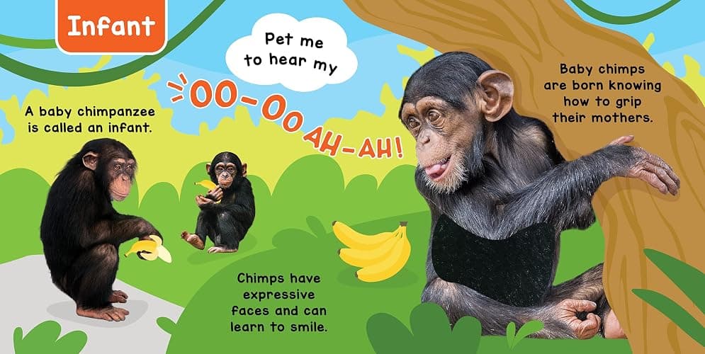 Little Hippo Books Baby Animals - A Noisy Touch and Feel Sensory Book Featuring Farm Sounds thumbnail 7