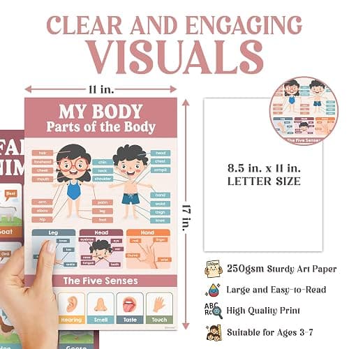 Decorably 20 Boho Learning Posters for Kids Ages 3-5, 11x17in Educational Matte-Laminated for Classrooms, Homeschool, School Hallways, Bulletin Boards thumbnail 3