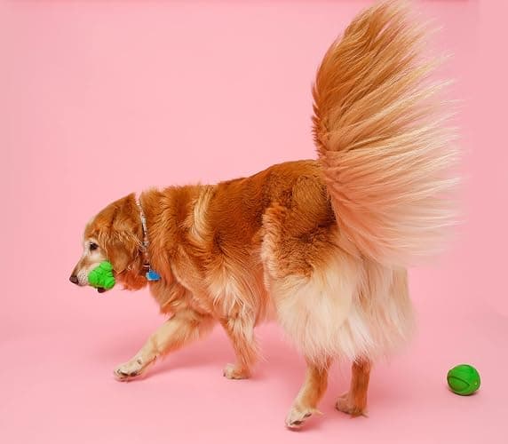 Hartz DuraPlay Bacon Scented Dog Toys, Large (Color May Vary) (Pack of 2) thumbnail 5