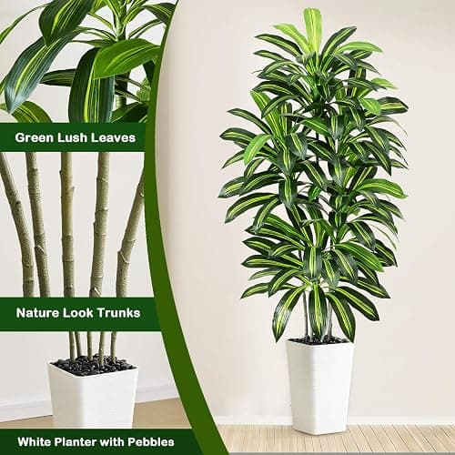 Artificial Dracaena Tree - 5FT Tall Fake Plants with White Tall Planter - Artificial Plants Indoor Floor Plant in Pot - Large Tropical Fake Yucca Potted Tree for Home Office Living Room Decor thumbnail 3