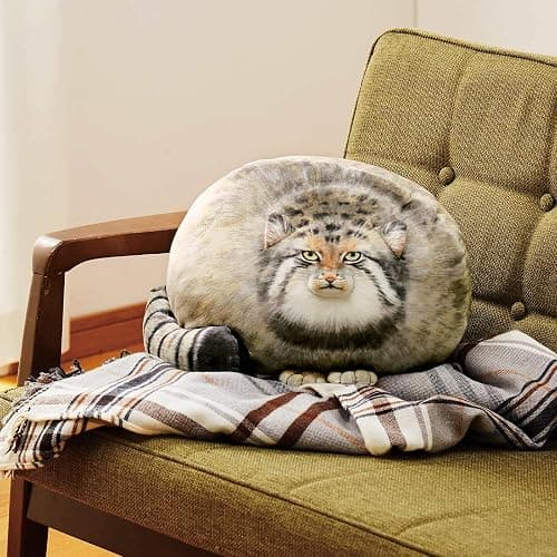 Sew Butiful Steppe Cat Plush 35cm/14inch Pallas Cat Stuffed Animal, Cute Plushies for Girls, Soft Plush Pillow, Throw Pillow Doll Decoration Doll Birthday Gift for Kids Boys Party thumbnail 5