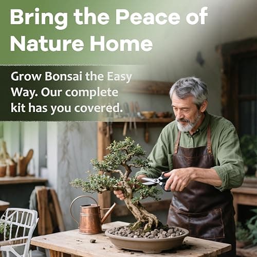LUOJIBIE Bonsai Tree Kit for Beginners - Unique DIY Japanese Bonsai Trees,Crafts for Adults, Ideal Gardening Birthday Gift for Women & Men,Complete Indoor Plant Kit thumbnail 9