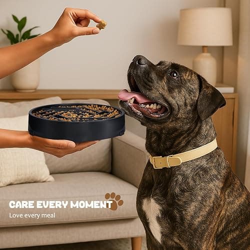 WHIPPY Slow Feeder Dog Bowl, Puzzle Maze Design to Slow Down Eating, 3-Cup Capacity, Anti-Gulping Food Bowl for Medium & Large Dogs,Black thumbnail 7