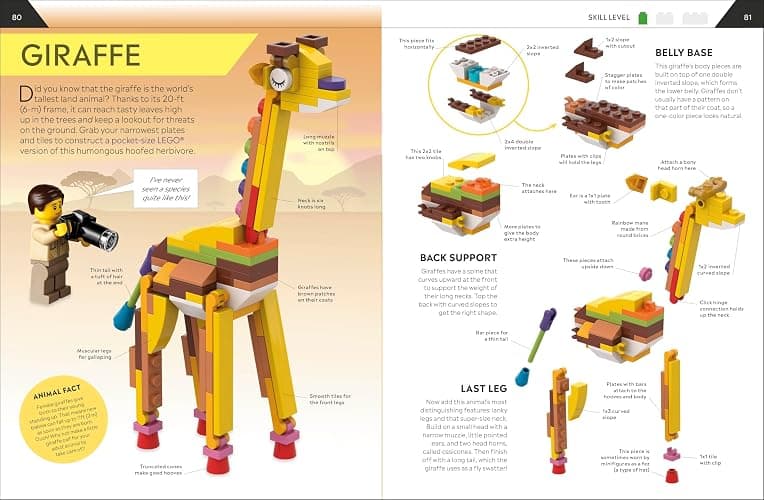 LEGO How to Build Everything! (How to Build LEGO) thumbnail 5