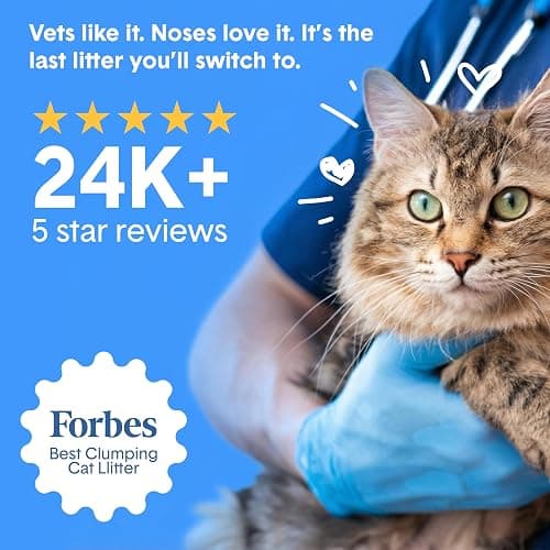 Boxie Probiotic Cat Litter, 40 Day Odor Control, Clumping Clay Kitty Litter, Odor Eliminating Probiotics, Dust-Free, No Fragrances No Fillers, 28 lb thumbnail 7
