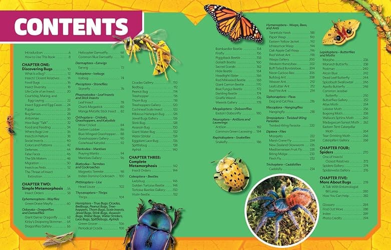 National Geographic Kids Ultimate Bugopedia, 2nd Edition: The Most Complete Bug Reference Ever (NGK Ultimate Pedias) thumbnail 6