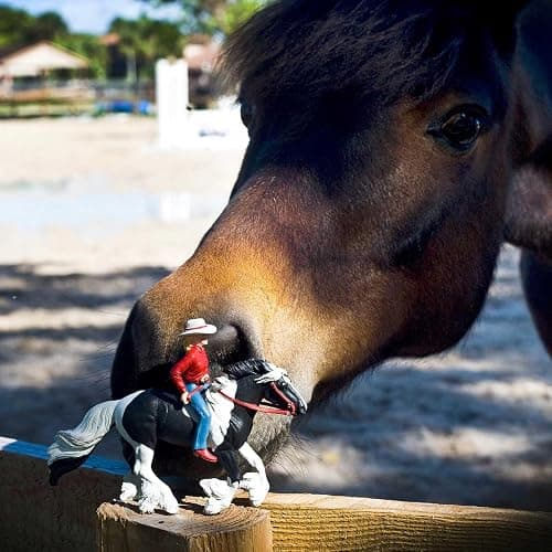 Safari Ltd. Audrey on Streaming Light Toy Set - Lifelike Horse Rider Figurine -Educational Toy for Boys, Girls, and Kids Ages 3+ thumbnail 4
