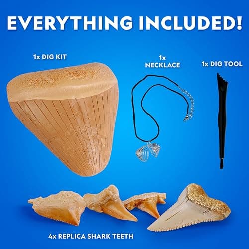 National Geographic Shark Tooth Dig Kit – Excavate Replica Teeth Fossils from Ancient Sharks and Make a Shark-Tooth Necklace, STEM Science Kit for Kids Ages 6-8, Educational Fossil Dig Activity thumbnail 5