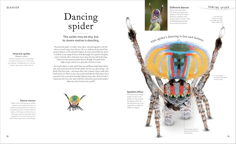 Weird and Wonderful Nature: Tales of More Than 100 Unique Animals, Plants, and Phenomena (DK Treasures) thumbnail 5
