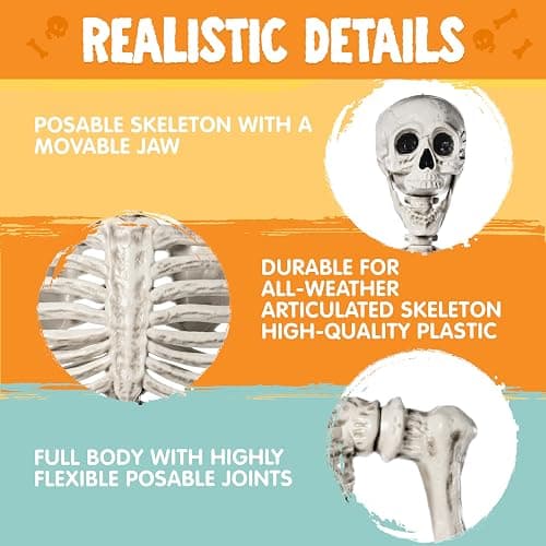 JOYIN 5.6 FT Halloween Posable Life Size Skeleton Full Body Realistic Bones with Movable Joints for Halloween Indoor and Outdoor Decoration Props Spooky Scene Party Decorations (White) thumbnail 6