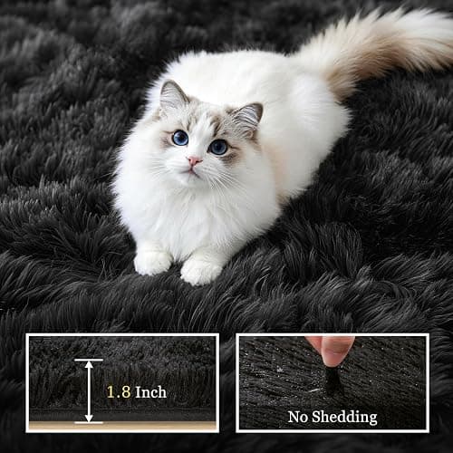 8x10 Area Rugs for Living Room Bedroom: Ultra Soft Fluffy Shag Rug Upgrade Non-Slip Non-Shedding Large Fuzzy Plush Carpet Indoor Floor Carpets for Kids Room Playroom Nursery Dorms Home Decor Black thumbnail 5