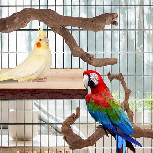 Parrot Perch Bird Perch Stand Set Natural Wild Wood Grape Sticks Paw Grinding Fork Parakeet Climbing Standing Branches Toys Cage Accessories for Conure,Cockatiels Lovebirds,Budgies Chewable 6PC thumbnail 4