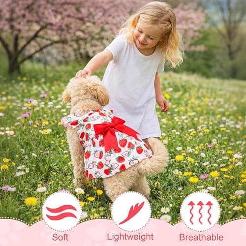 Abbylike 5 Pcs Dog Dress Floral Daisy Plaid Bowknot Dog Clothes Cute Summer Puppy Dresses Outfits Soft Apparel for Pets Cats Female (Pink Sweet,Small) thumbnail 4