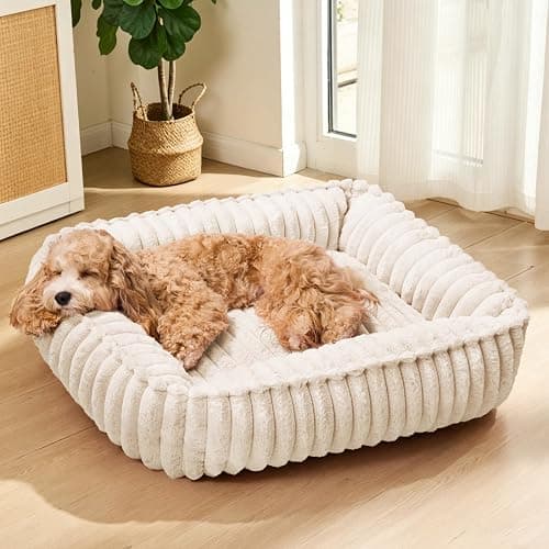 Jolifield Orthopedic Large Dog Bed Calming Pet Sofa Bed 36''x28'' Ivory | Rectangle Plush Orthopedic Dog Couch Large Sized Dogs,Anti-Anxiety, Nonskid Bottom, Washable Soft Puppy Cuddler Up To 50 Lbs - Image 1