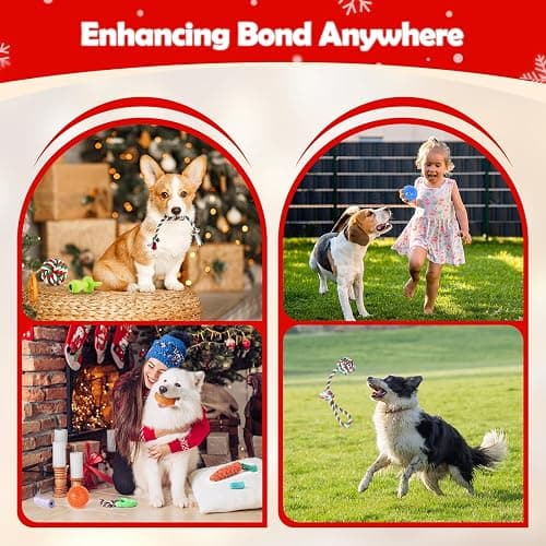 JXVICT Dog Advent Calendar 2025, 24 Days Dog Pet Toy Christmas Countdown Calendar with Chew Ropes Toys Squeaky Balls Teething Christmas Doys Toys for Xmas Small Large Dogs Puppy thumbnail 4
