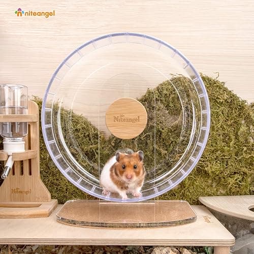 Niteangel Super-Silent Hamster Exercise Wheels - Quiet Spinner Hamster Running Wheels with Adjustable Stand for Dwarf Syrian Hamsters Gerbils Mice Or Other Small Animals (Transparent, Medium) thumbnail 4