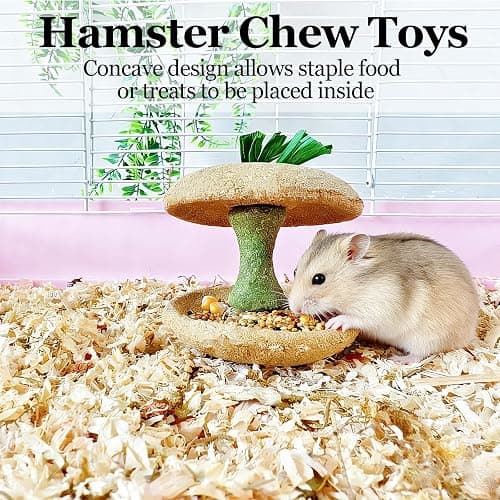 Jwizyotr 2PCS Hamster Chew Toys for Teeth Guinea Pig Treats Hamster Stuff Cage Accessories for Chinchilla Guinea Pig Rat thumbnail 2