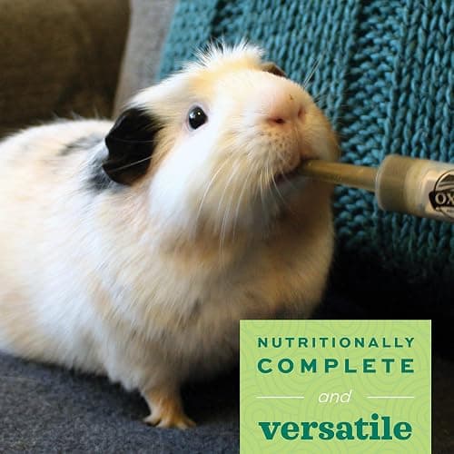 Oxbow Critical Care Herbivore, Emergency Guinea Pig Food, Rabbit Food for Recovery, Natural Apple Banana Flavor, Critical Care for Guinea Pig Emergency Kit, Made in USA, 141 Grams thumbnail 3