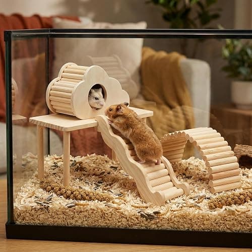 Hamster Platforms Wooden Ladder Bendy Bridge Fence Hidden Play House | Hamster Game Climbing Toy with Platform Decor Cage Accessories for Dwarf Syrian Mice Degus Gerbils Squirrel Small Pets thumbnail 8