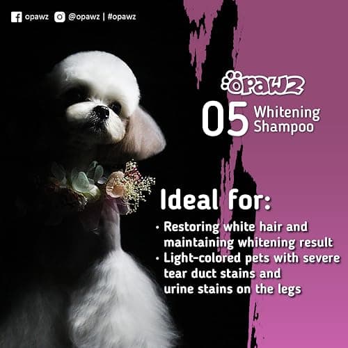 OPAWZ 05 Whitening Purple Shampoo for Dog and Cat, Safely Remove Yellow Stains, with No Bleach, Peroxide and Sulfate, Professional Groomers Recommended Product, 16.9 oz thumbnail 3