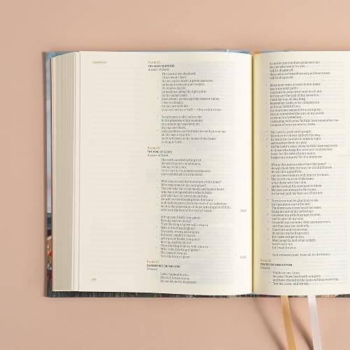 CSB Notetaking Bible, Hosanna Revival Edition, Roan Mountain Cloth Over Board, Black Letter, Single-Column, Journaling Space, Reading Plan, Easy-to-Read Bible Serif Type thumbnail 4