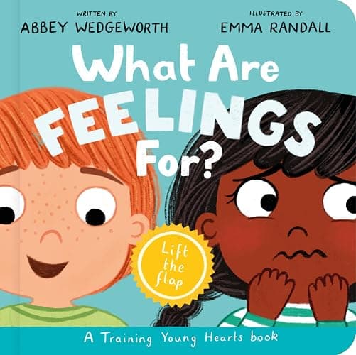What Are Feelings For? Board Book: A Lift-the-Flap Board Book (Christian behavior book for toddlers encouraging emotional health and resilience.) (Training Young Hearts) - Image 1