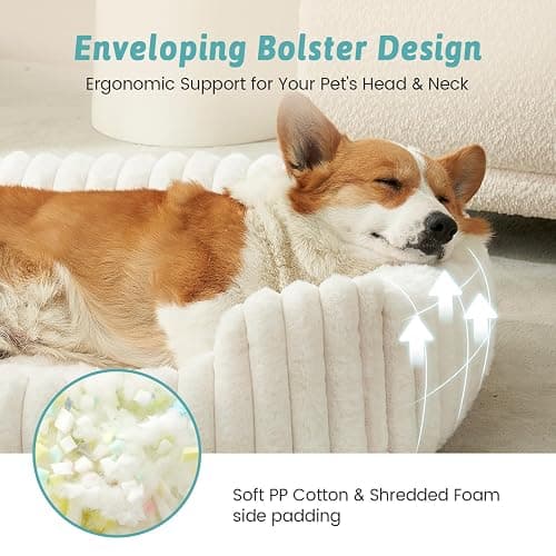 COZY KISS Orthopedic Dog Bed for Small Dogs & Medium Dogs - Washable Rectangle Pet Bed with Anti-Slip Bottom, Soft Calming Cat & Puppy Bed for Indoor Pets (30"x23"x7", Cream) thumbnail 5