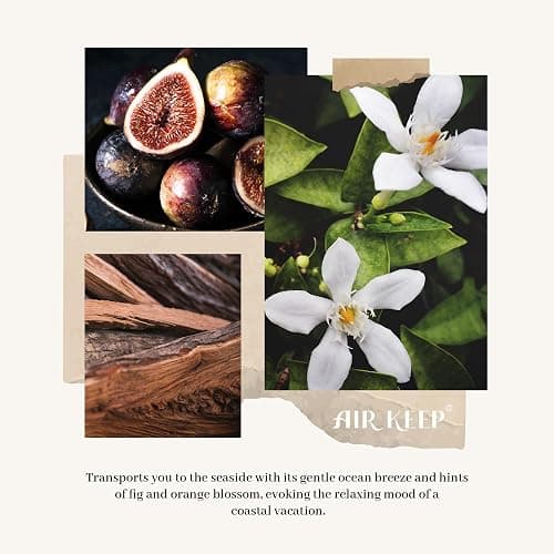 Airkeep Reed Diffuser Set,3.38 fl oz (100 ml) - Ocean Mist&Sea Salt Oil Diffusers with 8 Reed Sticks,Home Fragrance Reed Diffuser for Bathroom Shelf Decor thumbnail 6