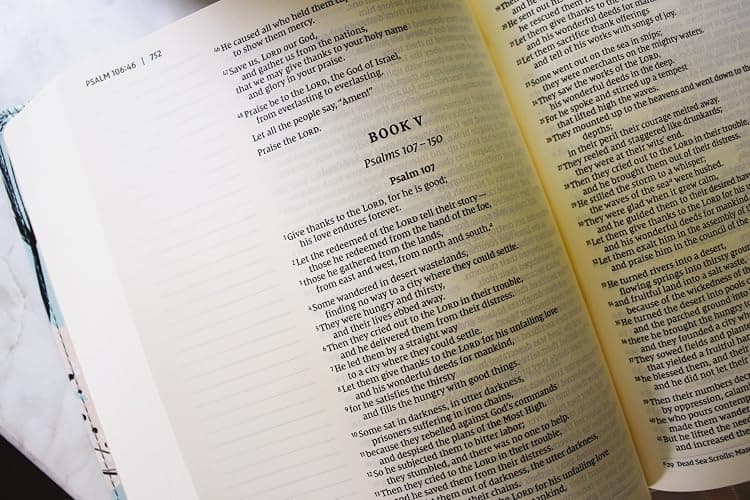 NIV, Journal the Word Bible (Perfect for Note-Taking), Leathersoft, Teal/Floral, Red Letter, Comfort Print: Reflect, Take Notes, or Create Art Next to Your Favorite Verses thumbnail 5