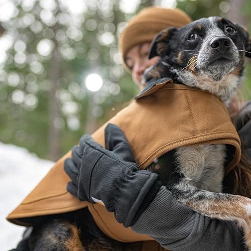 Carhartt Firm Duck Insulated Dog Chore Coat, Durable Weather Resistant Jacket for Cold and Windy Conditions, PFAS Free (Carhartt Brown), Large thumbnail 6
