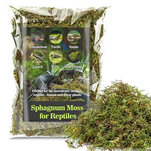 Sukh Sphagnum Moss for Reptiles - Terrarium Reptiles Moss Green Dried Peat Moss Habitat Bedding Moss for Snakes Turtle Frog Gecko and Other Reptiles Substrate (5, Ounces) - Image 1