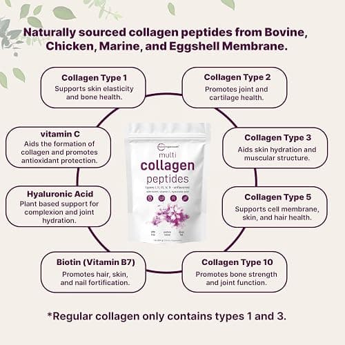 Micro Ingredients Multi Collagen Peptides Powder, 16oz | Full Spectrum Type I, II, III, V, X + Biotin, Hyaluronic Acid, & Vitamin C | Unflavored | Keto & Paleo Friendly | Non-GMO thumbnail 3