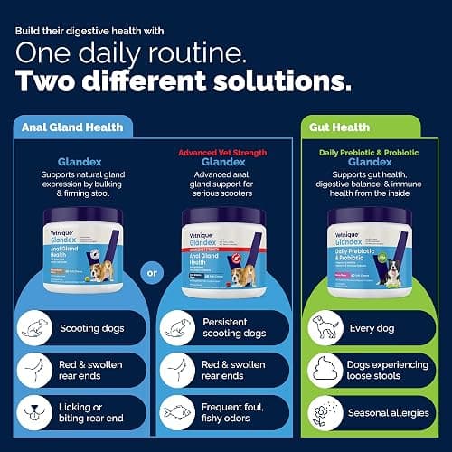 Vetnique Glandex for Dogs Anal Gland Chews 60ct Pumpkin + Digestive Enzymes | Anal Gland Dog Treats, Boot the Scoot + Fishy Odor Support, Fiber, Probiotics, Quercetin + Apple Pectin, Peanut Butter thumbnail 5