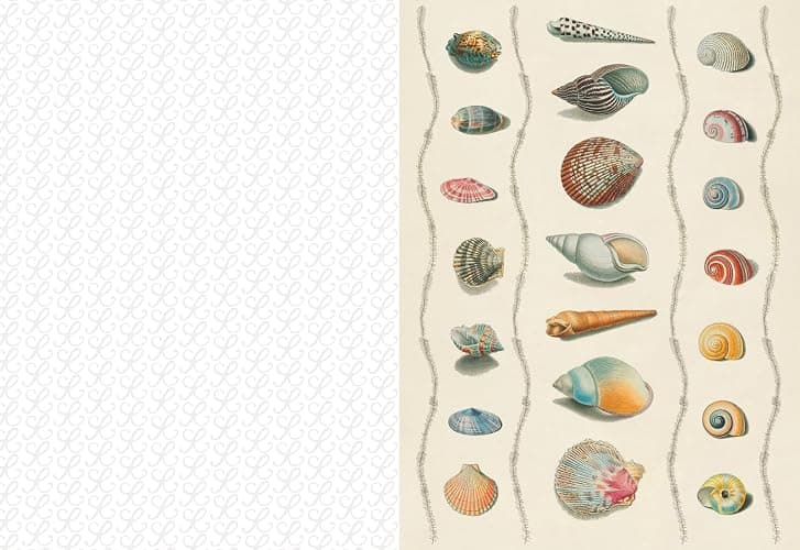 The Collage Compendium: 2,000 Images to Cut Out & Collage thumbnail 6