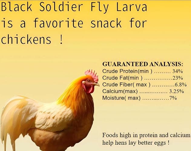 Classic Flock 11 lb Black Soldier Fly Larva - BSFL is a high Calc-Rich Chicken Feed with More Calcium Than mealworms.It is a Pure Natural Food That Provides high Protein for Chickens and Birds - Dried black soldier fly larvae - 11 Pound (Pack of 1) thumbnail 2