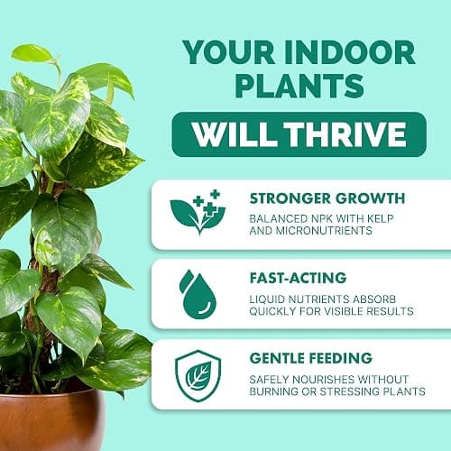 Indoor Plant Food, Complete Liquid Fertilizer for Houseplants, 8oz | Encourages New Growth, Kelp-Enriched Formula, Liquid Concentrate, Gentle for Weekly Feeding, All Indoor Plant Varieties thumbnail 2