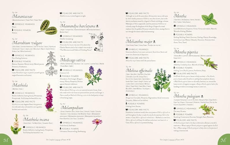 The Complete Language of Flowers: A Definitive and Illustrated History (Volume 3) (Complete Illustrated Encyclopedia, 3) thumbnail 9