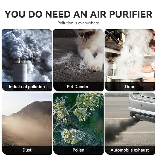 Air purifier thumbnail 3