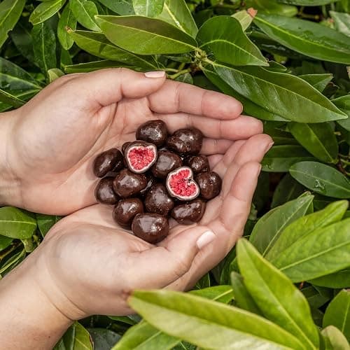 Tru Fru Freeze-Dried Raspberries in Dark & White Chocolate, 1.7 Ounce Bag thumbnail 3