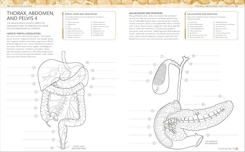 The Human Body Coloring Book: The Ultimate Anatomy Study Guide, Second Edition (DK Human Body Guides) thumbnail 8