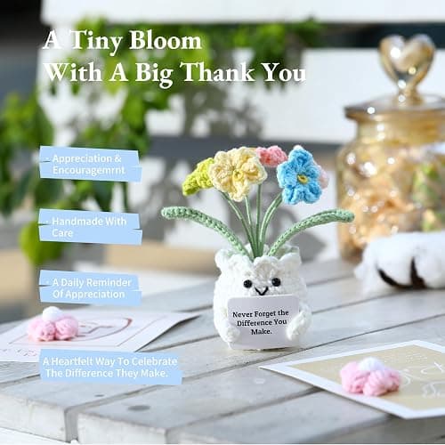 YOOJEE Forget-Me-Not Crochet Flower Potted Plant Gift | Difference You Make Gift, PET Display Box, Teacher Appreciation, Coworker, Employee, Thank You Gift, Handmade Desk Decor thumbnail 2