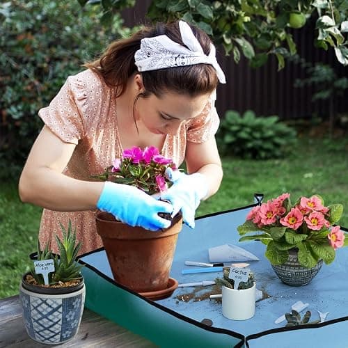 20 pcs Succulent Tool Set - 39.4" Indoor Plant Repotting Mat and 19 Pcs Mini Succulent Hand Tools, Garden Flower Plants Transplanting Supplies for Women Holiday Gardening Gifts Outdoor, Blue thumbnail 2