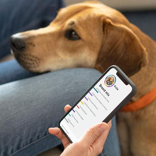 Embark Breed & Health Kit (2 Pack) - Dog DNA Test - Discover Breed, Ancestry, Relative Finder, Genetic Health, Traits, COI thumbnail 3