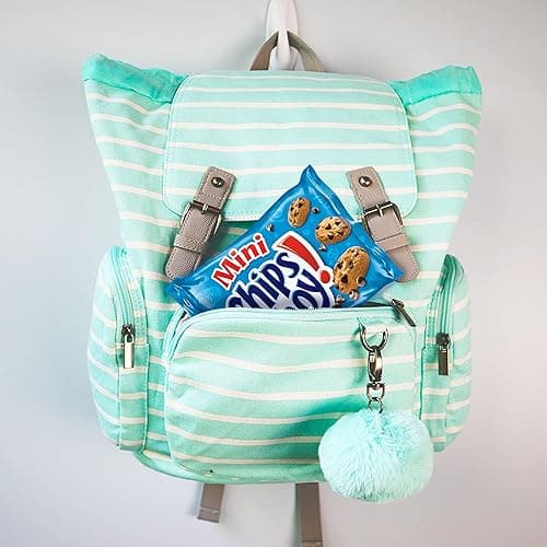 Nabisco Classic Mix Variety Pack, OREO Mini, CHIPS AHOY! Mini, Nutter Butter Bites, RITZ Bits Cheese, School Snacks, 20 - 1 oz Snack Packs thumbnail 7
