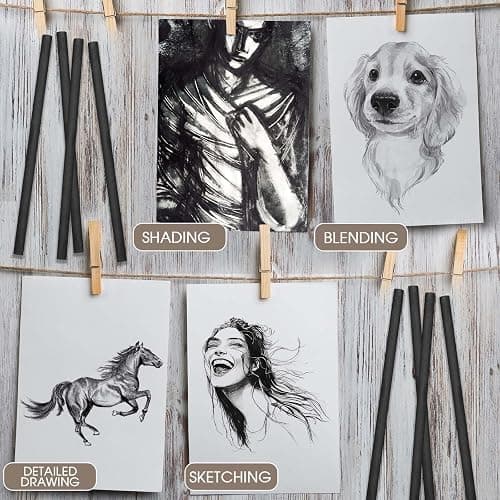 Gueevin 24 Pcs Willow Charcoal Sticks, Willow Charcoal, Artists, Beginners, Students, Perfect for Sketching, Drawing, Shading, and Fine Back to School Christmas Art Gifts (2-4mm，4-5mm，5-7mm，7-9mm) thumbnail 4