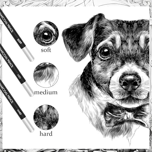 Geyoga 36 Pcs Professional Charcoal Pencils Bulk Classroom Set Soft, Medium and Hard for Drawing Charcoal Pencils for Sketching Shading Drawing Blending Portrait(Black,Assorted) thumbnail 4