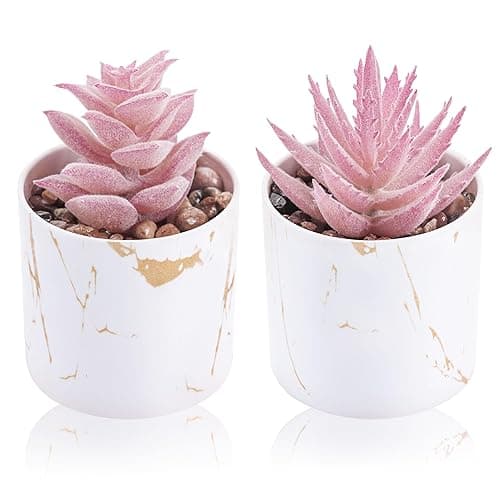 Der Rose Set of 2 Succulents Plants Artificial Mini Fake Succulents Plants for Office Desk Accessories for Women Pink Home Vanity Decor - 2-pink