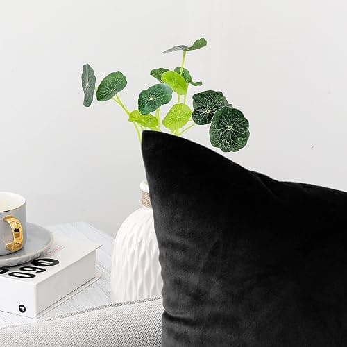 NiNi ALL Decorative Throw Pillow Covers Pack of 2, Velvet Throw Pillow Cases for Couch Pillows Cover Bedroom Living Room Outdoor, Pillow Covers 18x18 Inch Black thumbnail 2